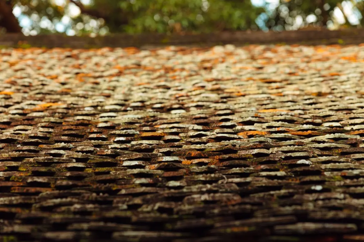 Aging shingle roof with moss growth and granule loss in Kingman, AZ